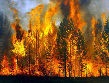 Αστεροσκοπείο Αθηνών: Κάηκαν 39.000 στρέμματα (φωτό,βίντεο)